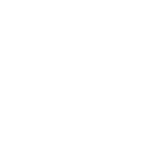 Netent Logo